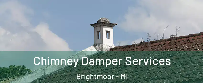 Chimney Damper Services Brightmoor - MI