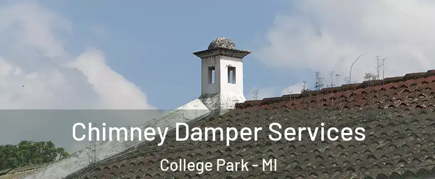 Chimney Damper Services College Park - MI