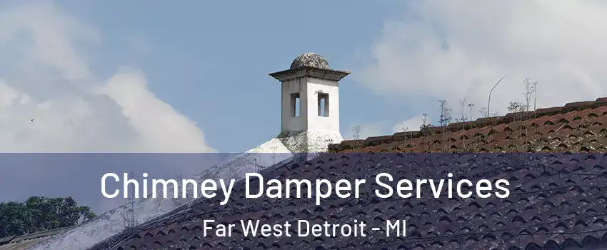 Chimney Damper Services Far West Detroit - MI