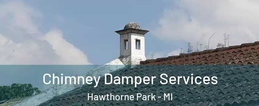 Chimney Damper Services Hawthorne Park - MI