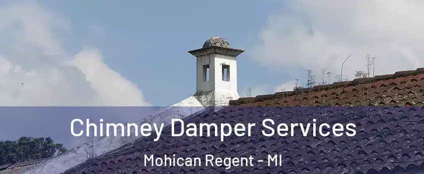 Chimney Damper Services Mohican Regent - MI