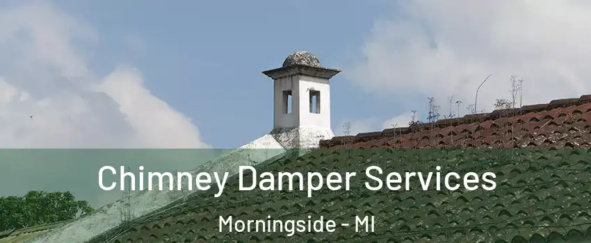 Chimney Damper Services Morningside - MI