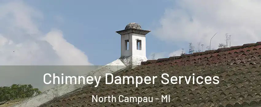 Chimney Damper Services North Campau - MI