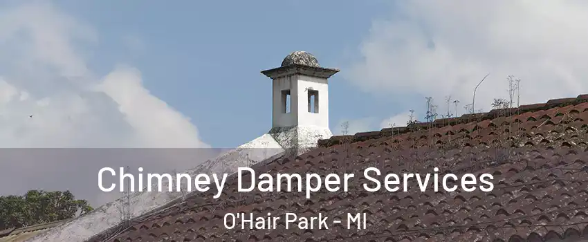 Chimney Damper Services O'Hair Park - MI