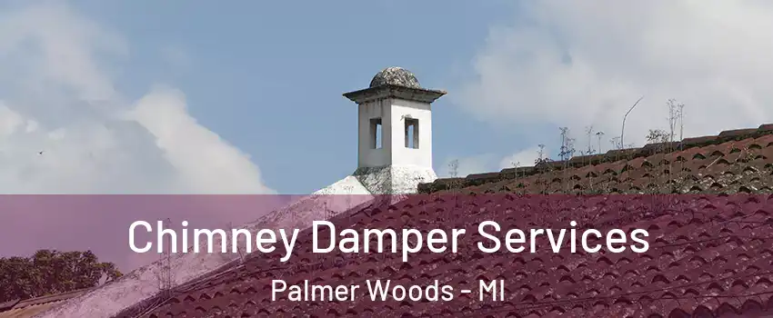 Chimney Damper Services Palmer Woods - MI