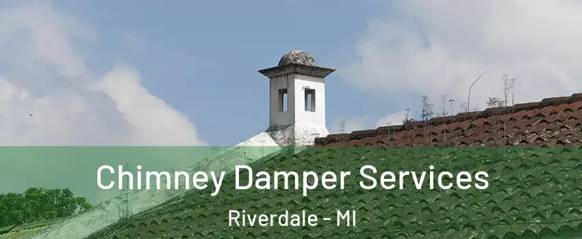 Chimney Damper Services Riverdale - MI