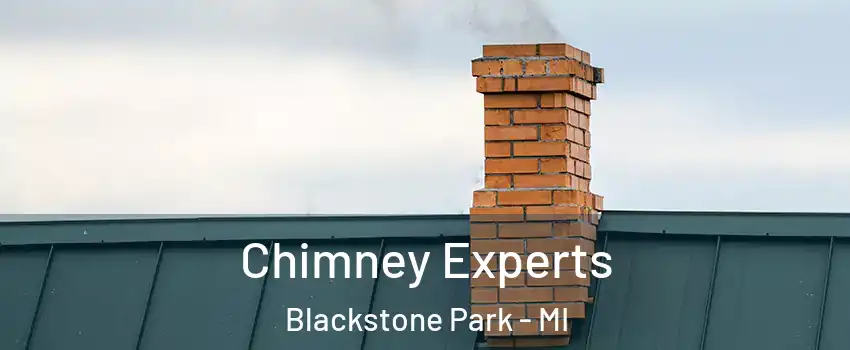 Chimney Experts Blackstone Park - MI