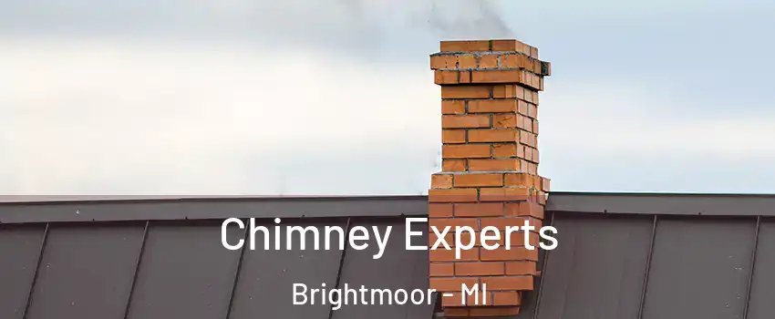 Chimney Experts Brightmoor - MI