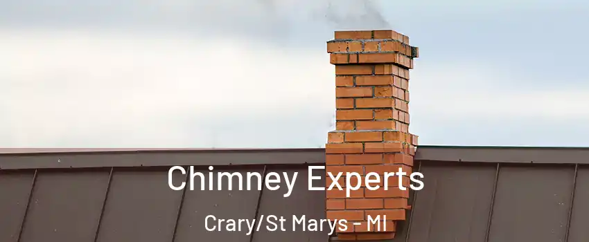 Chimney Experts Crary/St Marys - MI