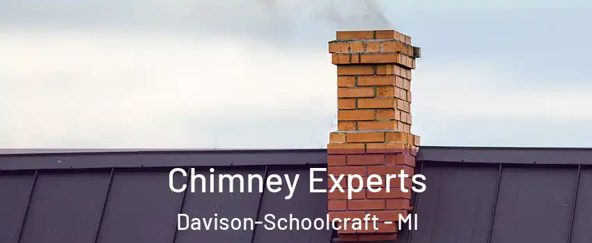 Chimney Experts Davison-Schoolcraft - MI