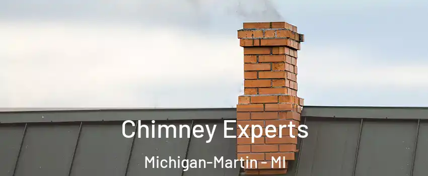 Chimney Experts Michigan-Martin - MI