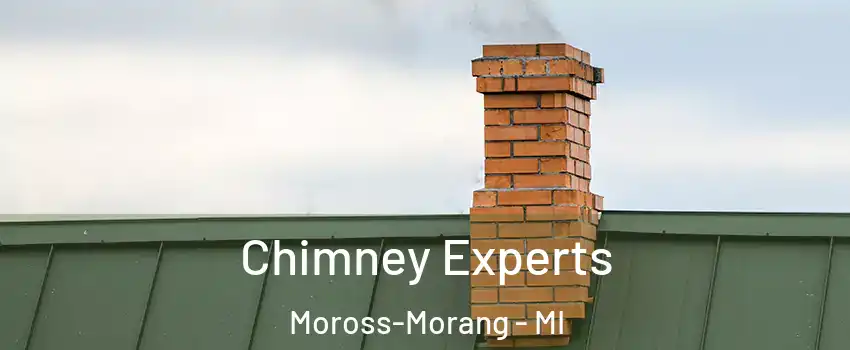 Chimney Experts Moross-Morang - MI