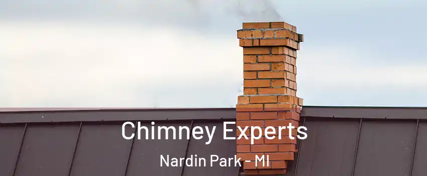 Chimney Experts Nardin Park - MI