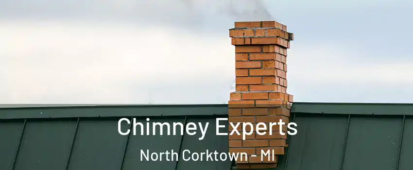 Chimney Experts North Corktown - MI