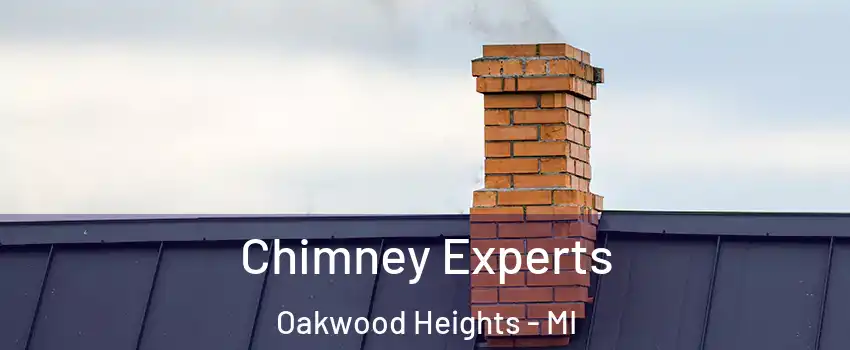 Chimney Experts Oakwood Heights - MI