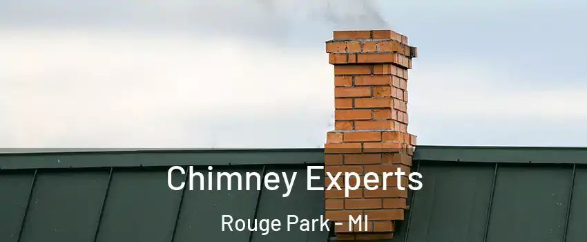 Chimney Experts Rouge Park - MI