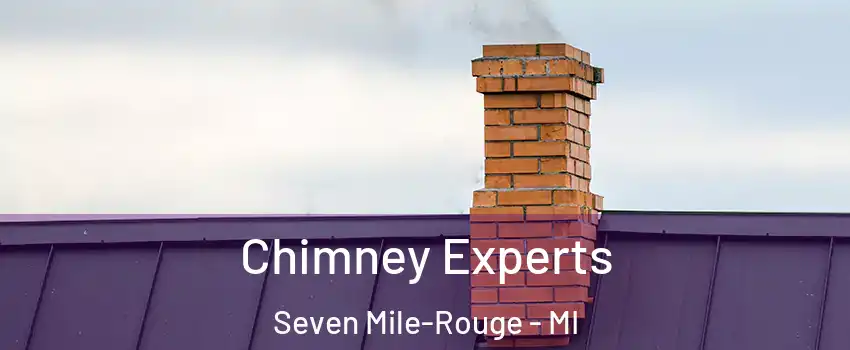 Chimney Experts Seven Mile-Rouge - MI