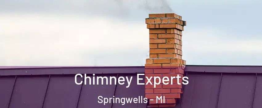 Chimney Experts Springwells - MI