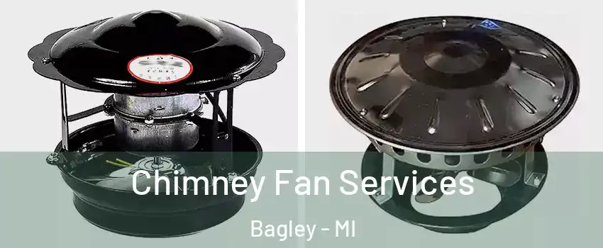 Chimney Fan Services Bagley - MI