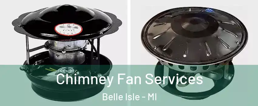 Chimney Fan Services Belle Isle - MI