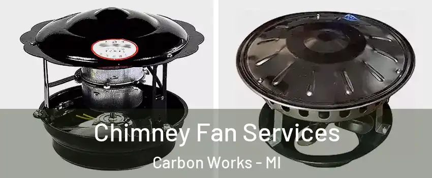 Chimney Fan Services Carbon Works - MI