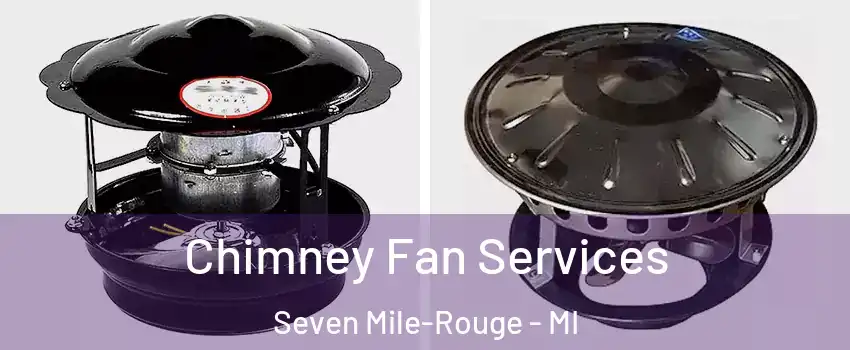 Chimney Fan Services Seven Mile-Rouge - MI