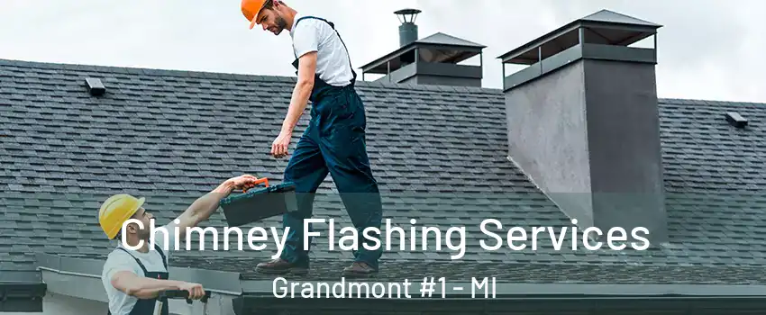 Chimney Flashing Services Grandmont #1 - MI