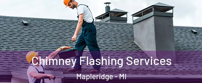 Chimney Flashing Services Mapleridge - MI