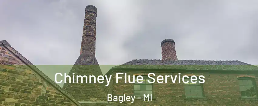 Chimney Flue Services Bagley - MI