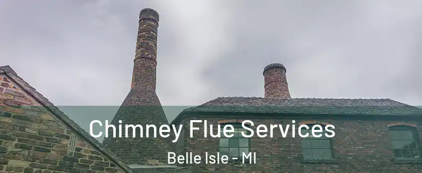 Chimney Flue Services Belle Isle - MI