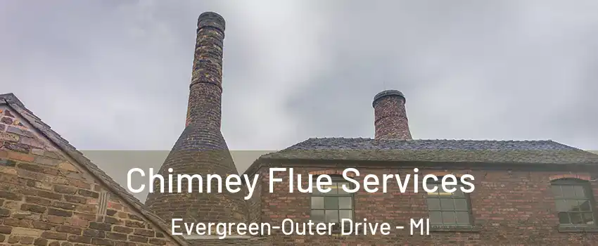 Chimney Flue Services Evergreen-Outer Drive - MI