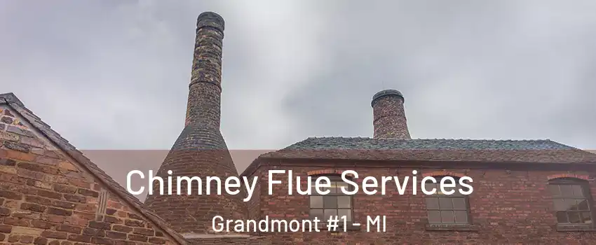 Chimney Flue Services Grandmont #1 - MI