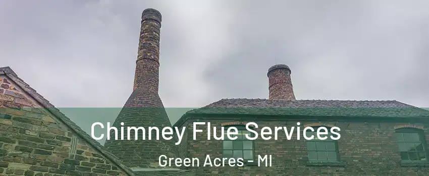 Chimney Flue Services Green Acres - MI