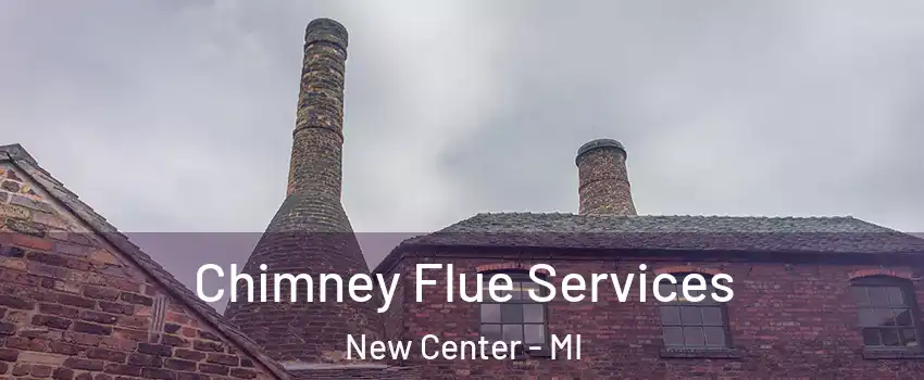 Chimney Flue Services New Center - MI