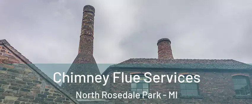 Chimney Flue Services North Rosedale Park - MI