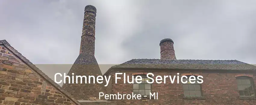 Chimney Flue Services Pembroke - MI