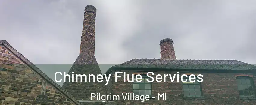 Chimney Flue Services Pilgrim Village - MI