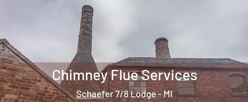 Chimney Flue Services Schaefer 7/8 Lodge - MI