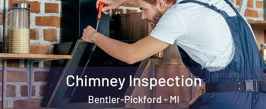 Chimney Inspection Bentler-Pickford - MI