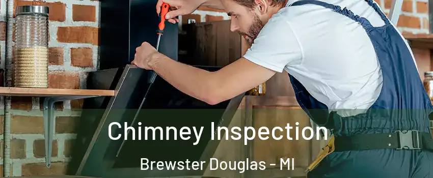 Chimney Inspection Brewster Douglas - MI