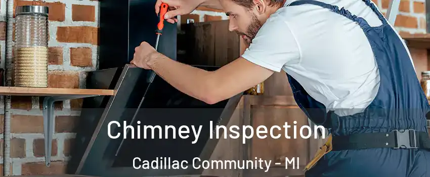 Chimney Inspection Cadillac Community - MI