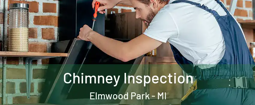 Chimney Inspection Elmwood Park - MI