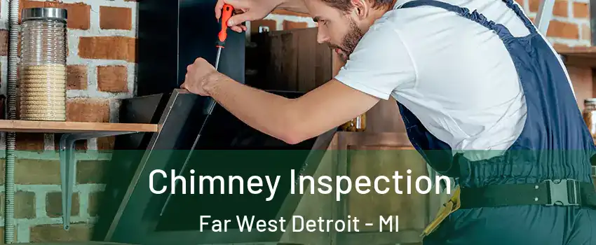 Chimney Inspection Far West Detroit - MI