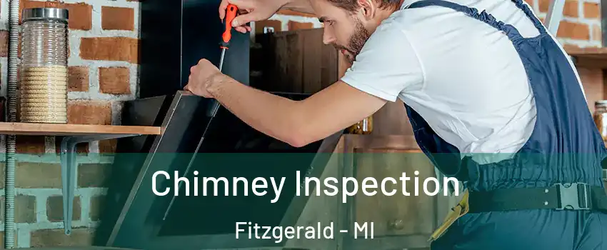 Chimney Inspection Fitzgerald - MI