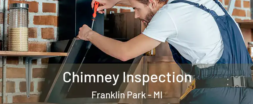 Chimney Inspection Franklin Park - MI