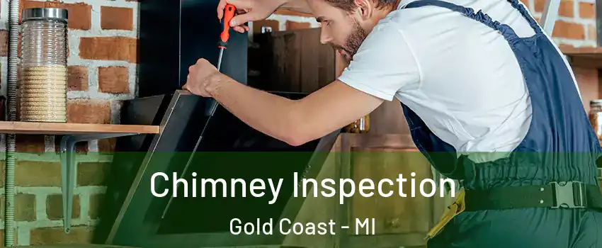 Chimney Inspection Gold Coast - MI