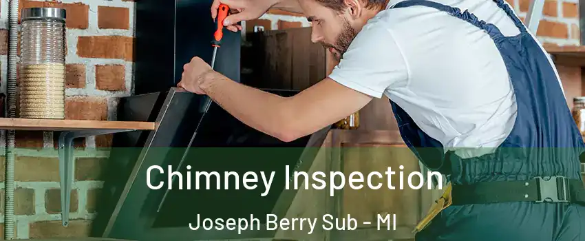 Chimney Inspection Joseph Berry Sub - MI