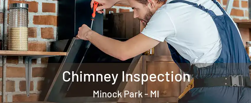 Chimney Inspection Minock Park - MI