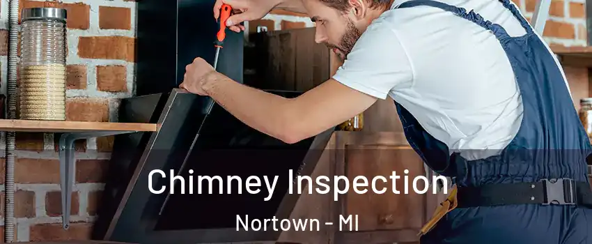 Chimney Inspection Nortown - MI