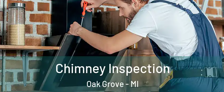 Chimney Inspection Oak Grove - MI